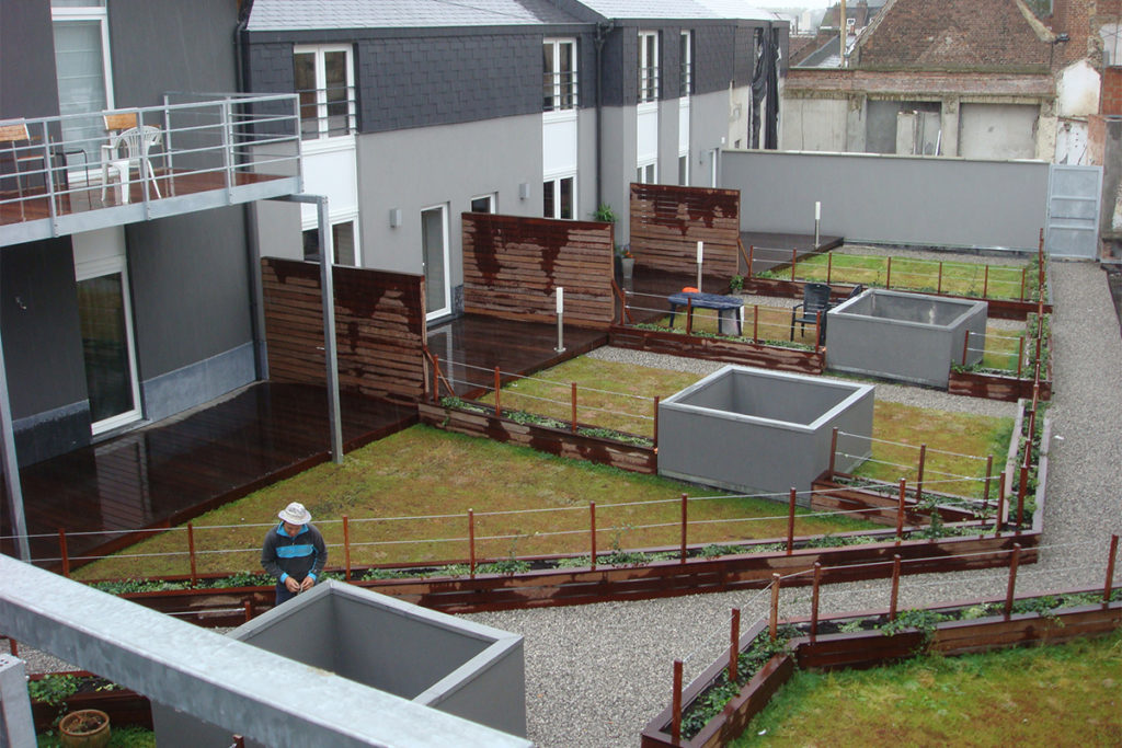 Toiture verte et terrasse a Mons